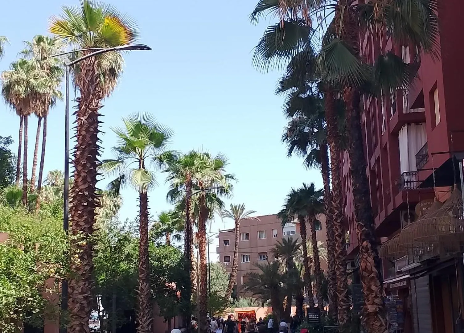Majorelle Garden Family Apartment With Swimming Pool And Cozy Terrace Marrakesz